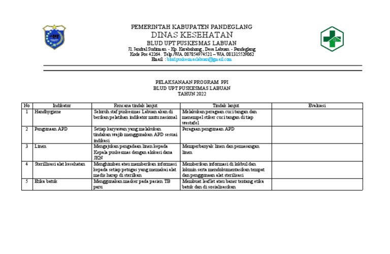 Program PPI Puskesmas Labuan 2022 | PDF