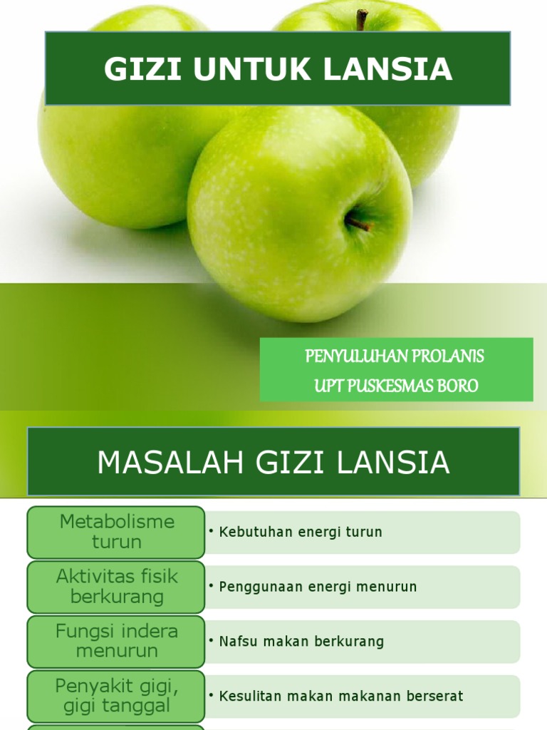 Gizi Lansia | PDF