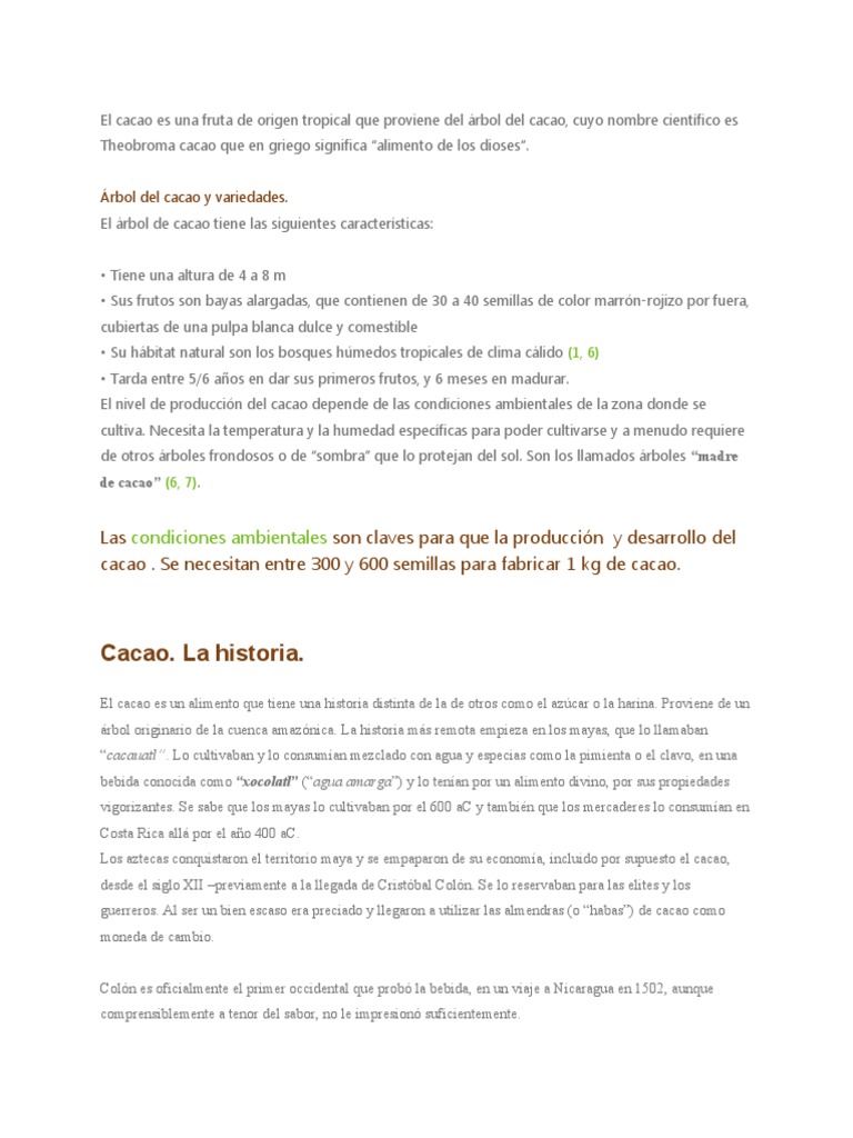 El Cacao Pdf Chocolate