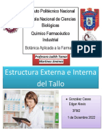 6. Estructura Externa e Interna Del Tallo. 