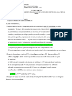 EXAMEN PARCIAL PI911B -b (1)