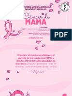 Equipo3y4. Tema10. Cáncer de Mama (BIRADS)