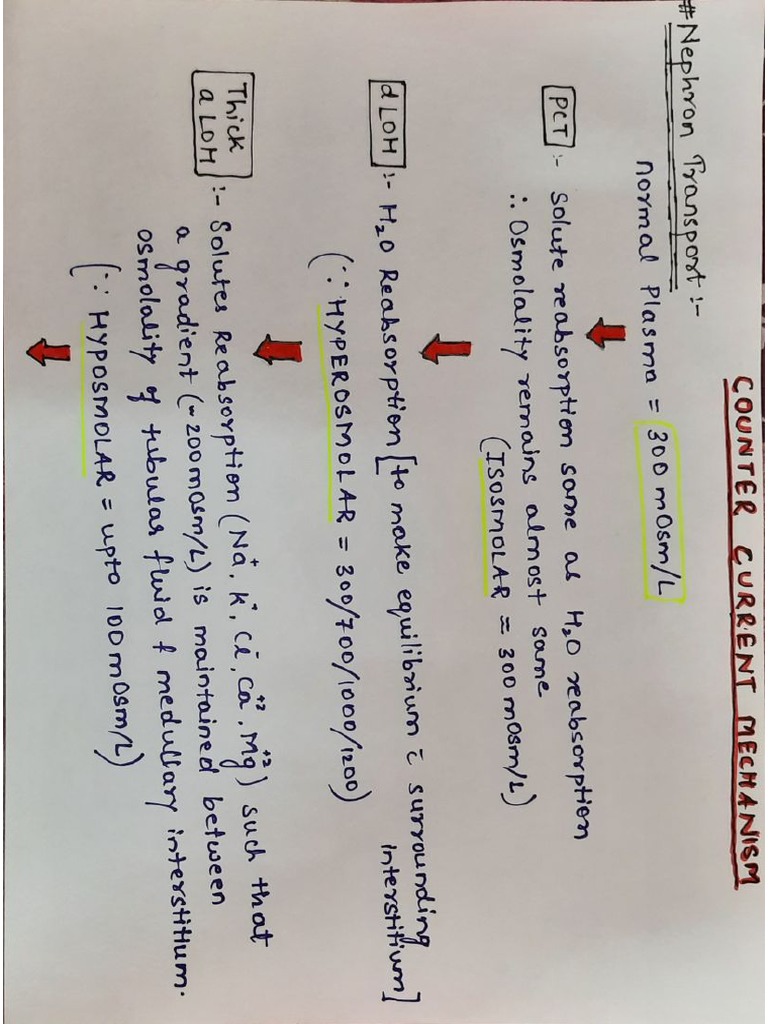 Counter Current Mechanism - Renal Physio | PDF