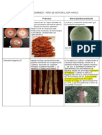 Tarea de Microb. Nikol