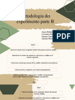 Metodologia Del Experimento Parte B