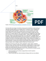 Struktur Dan Fungsi Sel Hewan