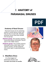 2 RHINOLOGY Sinus