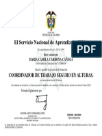 Certificado de Coordinador