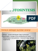 FOTOSINTESIS 