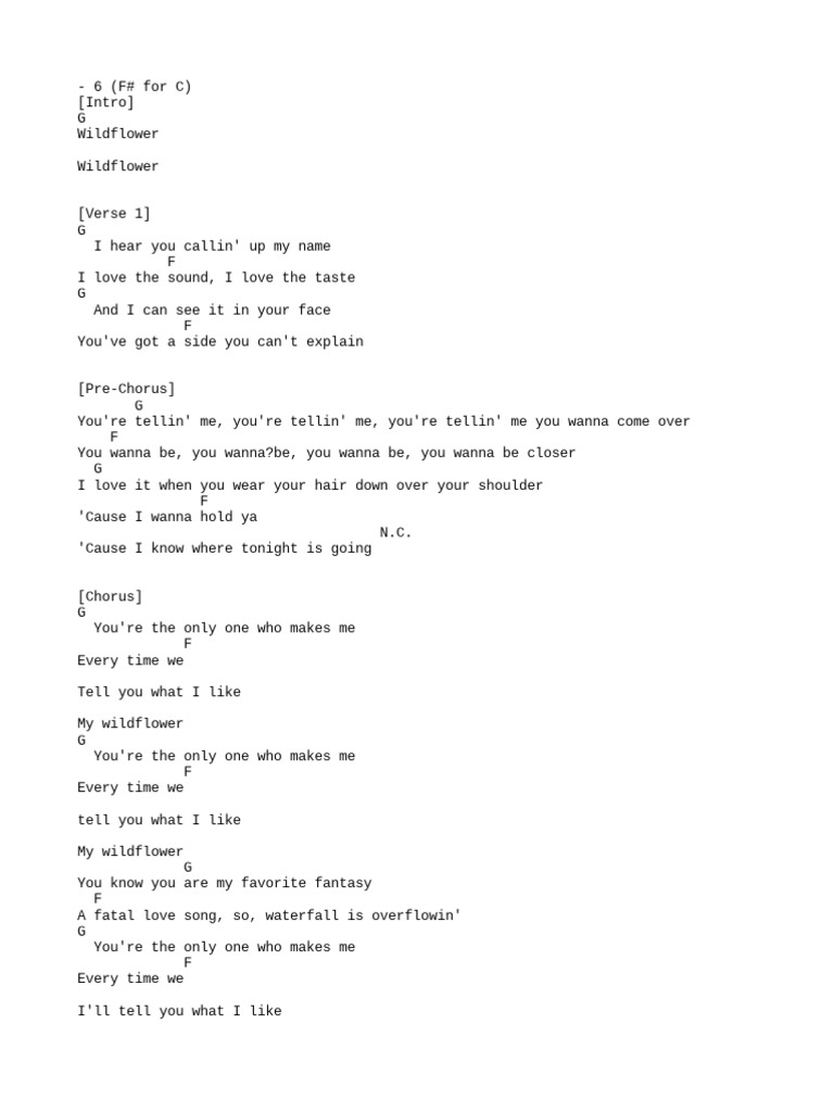 lyric wildflower 5 seconds of summer