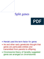 Split Genes
