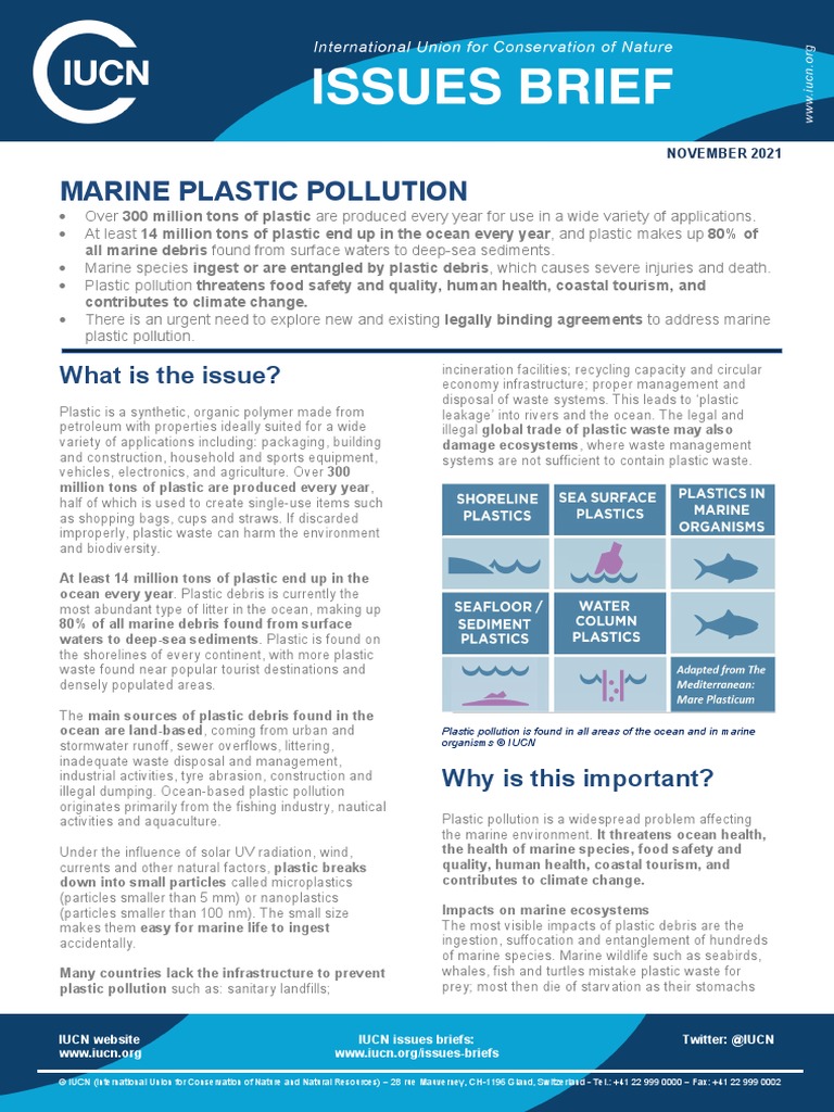 Marine Plastic Pollution Issues Brief Nov21 | PDF | Waste | Plastic