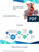 Anatomia Arborelui Traheobronșic. Anomalii Și Variațiuni