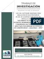 Uso Del Software Snapgene para Simulación de Electroforesis en Gel de Agarosa