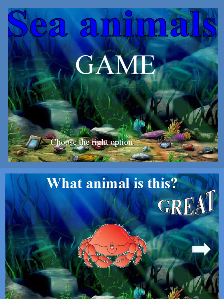Sea Animals Game PDF