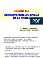 Unidad III. Organizacion Molecular de La Celula