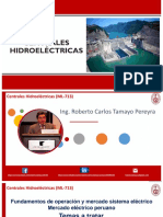 1.1 MERCADO ELECTRICO PERUANO_RTP