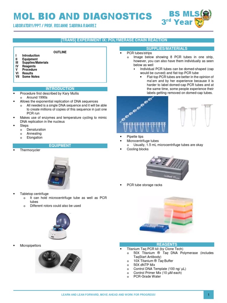 Polymerase Chain Reaction Primer Sequence Of This Experiment Download