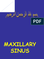 9-Maxillary Sinus