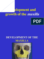 4- Maxilla Development