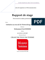 Cycle de Formation Des Ingénieurs en Télécommunications. Rapport de Stage. Découverte Du Milieu Professionnel