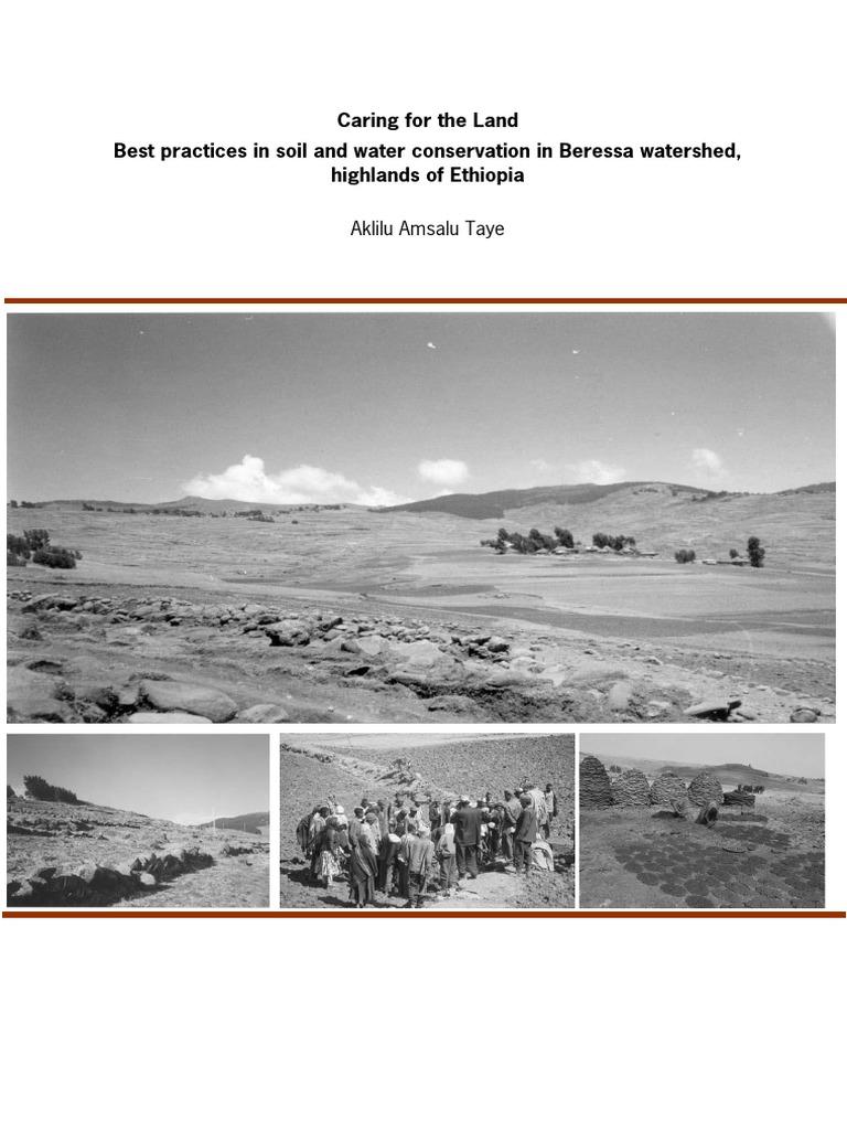 WHAT IS LAND CONSERVATION PDF visual data 2