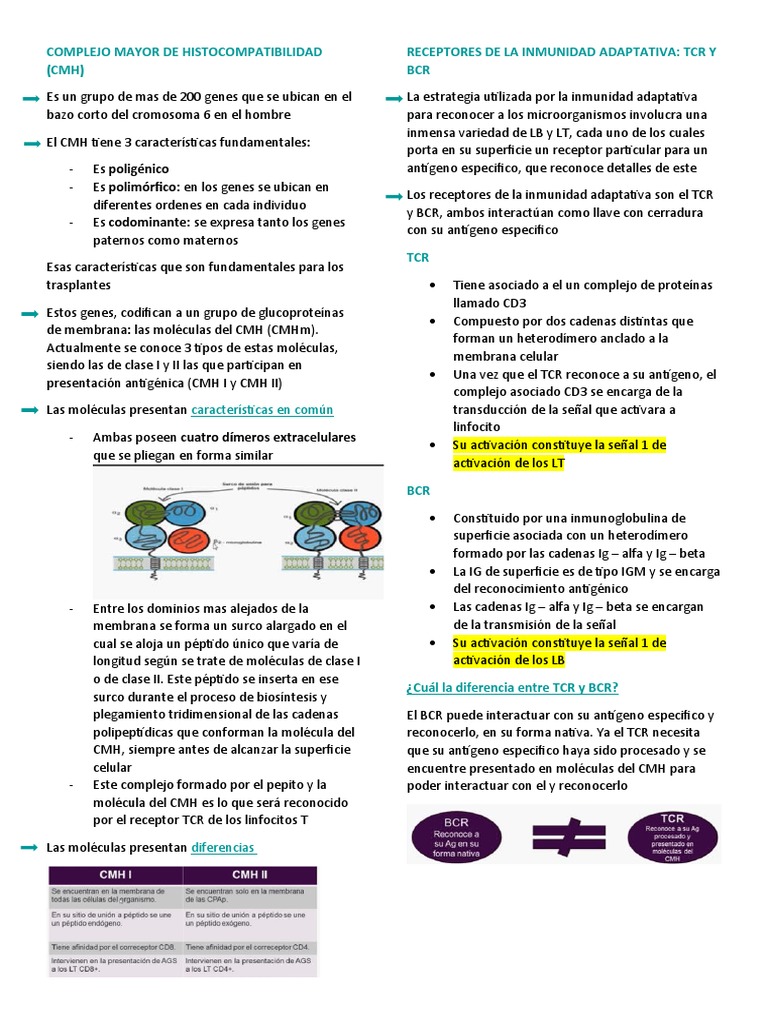 Complejo Mayor de PDF