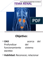 Sistema Nervios G