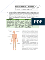 Evaluacion Diagnostica 1 Ero