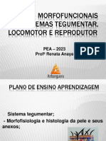 Ciências Morfofuncionais Dos Sistemas Tegumentar, Locomotor E Reprodutor