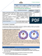 Explicamos Por Qué Se Produce La Anemia y Cómo Podemos Prevenirla.