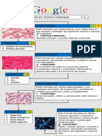 Infografía Sobre Tejidos Humanos