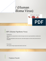 HPV (Human Papilloma Virus)