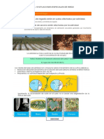 Tema 19 Situaciones Especiales de Riego