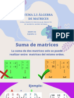 Tema 2.5 Álgebra de Matrices