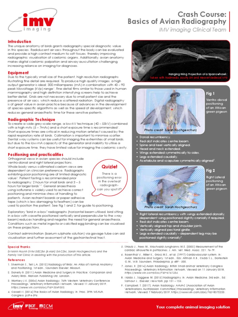 Avian Radiography Essentials Guide | PDF