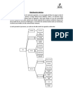 Distribución Aórtica Nutricion 2018