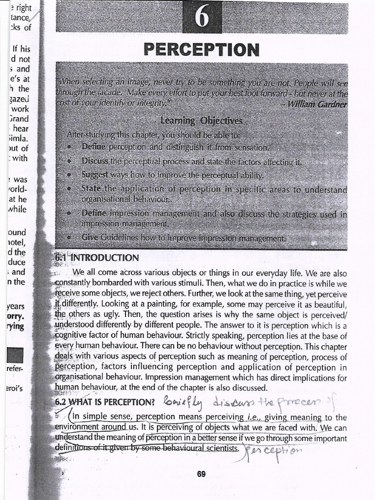 Perception PDF
