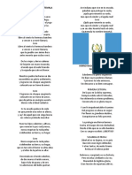 Himno Nacional de Guatemala77