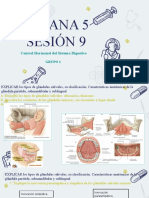 Semana 5 Sesión 9