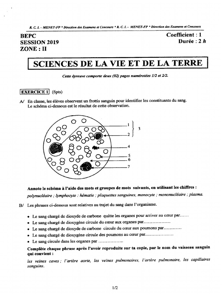Science de La Vie Et de La Terre | PDF