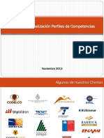 Levantamiento Perfiles de Cargo