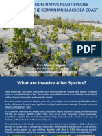 Invasive Alien Plants in Constanta Harbour