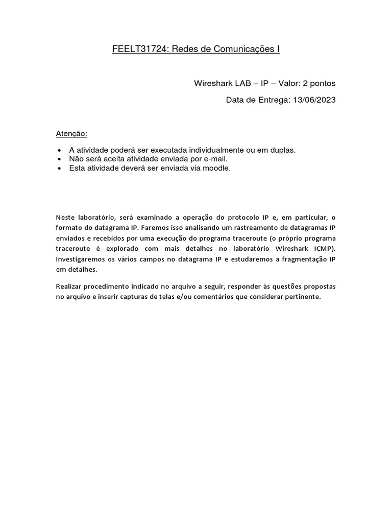 Wireshark Lab: Analyzing IP Datagram | PDF | Internet Protocols ...