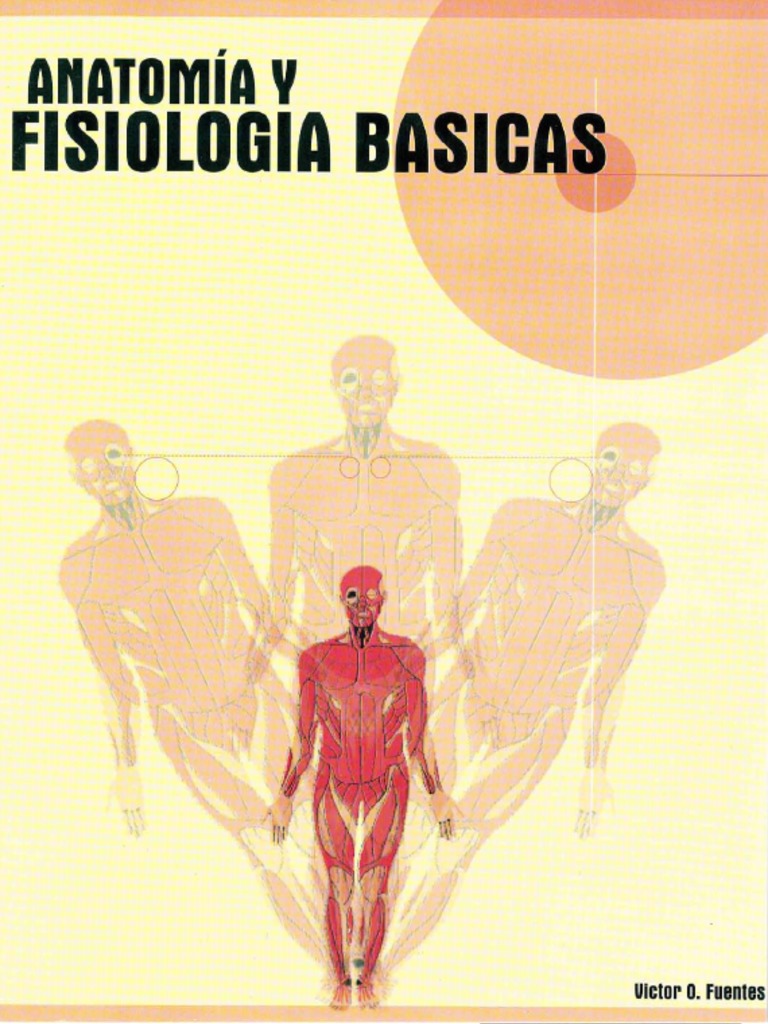 anatom-a-y-fisiolog-a-b-sicas-pdf