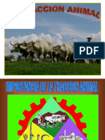 Tema 2.1 Trac - Animal PDF