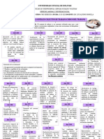 Organizador Grafico Tramite Del C. Colectivo de Trabajo