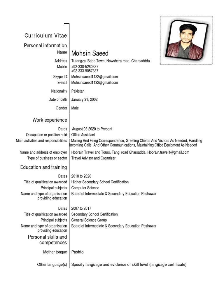 Mohsin CV PDF | PDF | Computing
