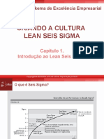Slides Capítulo 1 - Criando A Cultura Lean Seis Sigma