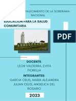 Proyecto final-Comunidad Concepcion 2023